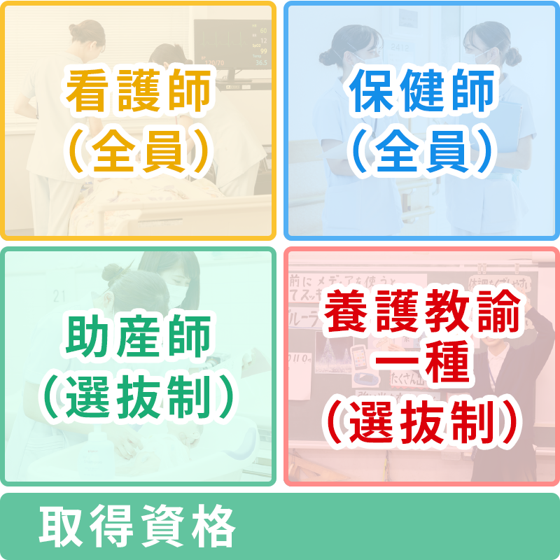 画像：特徴01