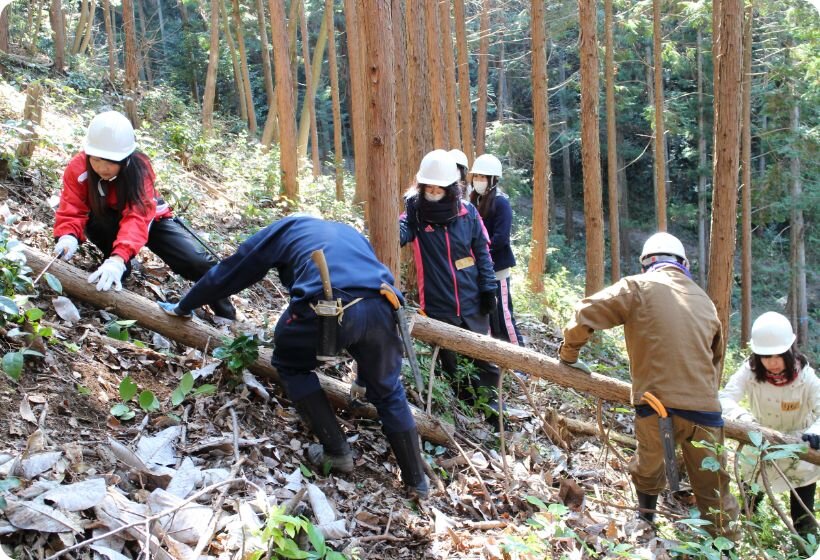 森林文化体験セミナーの様子